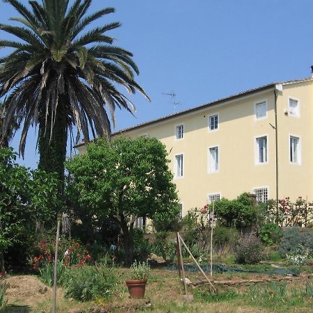 Bed and Breakfast Casa Marce A "Sonno" Porcari Exterior foto