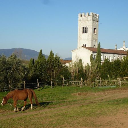 Bed and Breakfast Casa Marce A "Sonno" Porcari Exterior foto