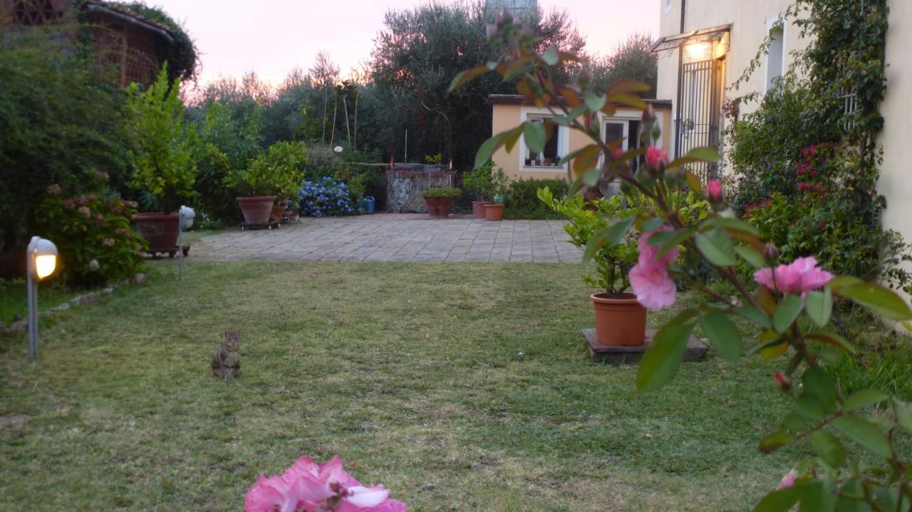Bed and Breakfast Casa Marce A "Sonno" Porcari Exterior foto
