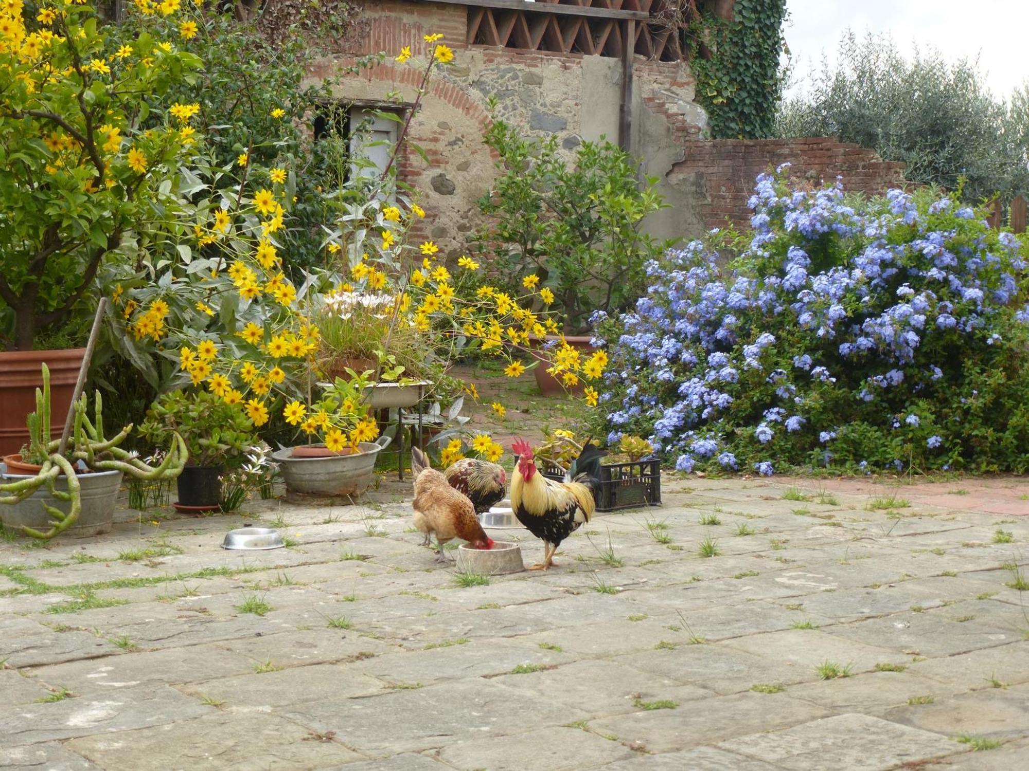 Bed and Breakfast Casa Marce A "Sonno" Porcari Exterior foto
